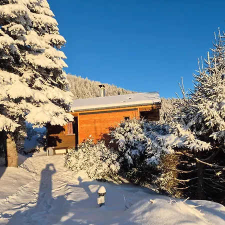 Les Jonquilles Alpstuga La Bresse