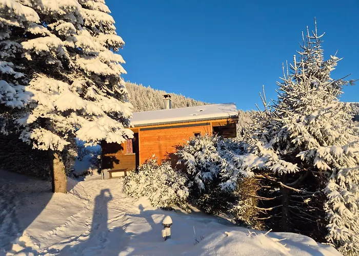 Les Jonquilles Chalet La Bresse