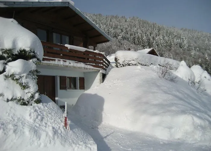 Les Jonquilles * La Bresse